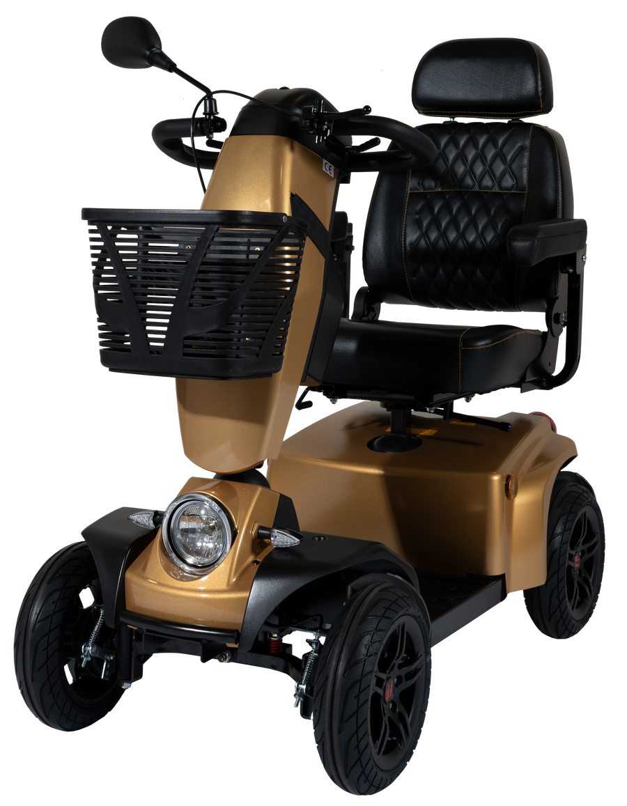 Freerider FR1 City road scooter Gold
