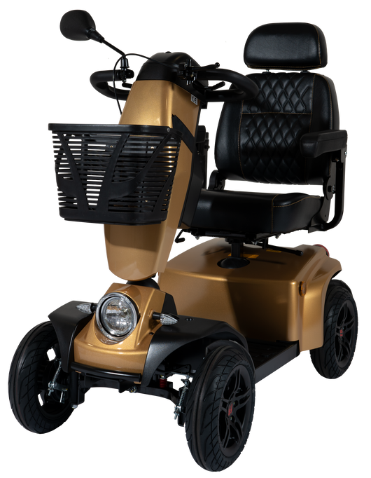 Freerider FR1 City road scooter Gold