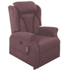 Iconic Lateral Back Riser Recliner Chair - Active Mobility Ltd