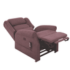 Iconic Lateral Back Riser Recliner Chair - Active Mobility Ltd